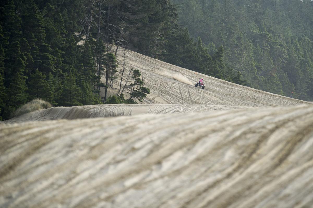 A woman speeds down a hill Friday in the dunes near Winchester Bay. The Oregon Dunes Restoration Collaborative reported recently that invasive species have shrunk open sand in the dunes by 65 percent since 1941. Ed Glazer, the World