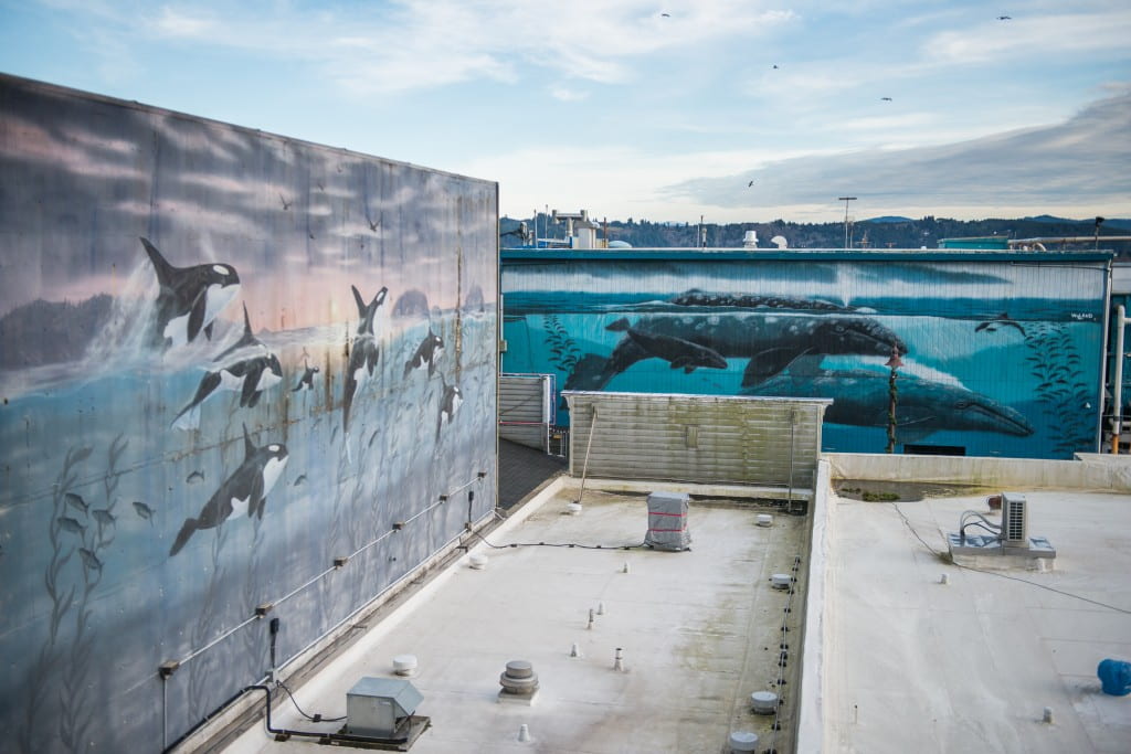 Newport’s Bayfront murals are among the many pieces of public art being inventoried over the coming months as part of the Oregon Coast Public Art Trail project