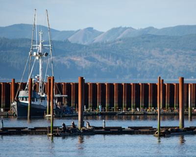 Repairs are needed at the East Mooring Basin at the Port of Astoria