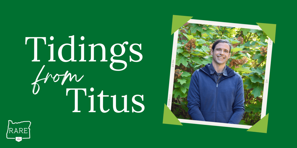 Tidings from Titus graphic, featuring a head shot of smiling Titus!